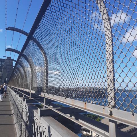 Sydney Harbour bridge with safety fence today